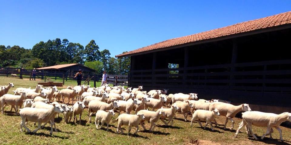 Pecuária Brasil participa da Agroleite 2015